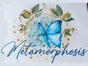 Metamorphosis